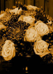 Caption Text