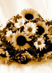Caption Text